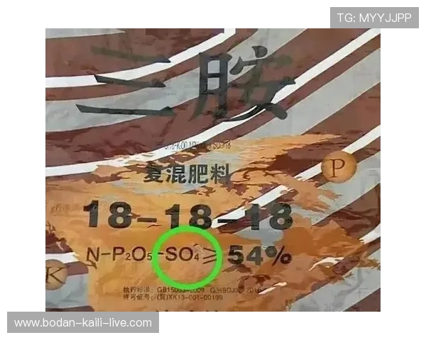 大型赛事预热必看大球小球是什么意思防骗避坑